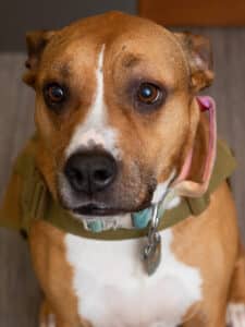 UrabnHillPhoto ACUMEN 41